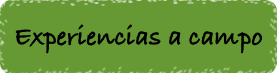 Experiencias a campo